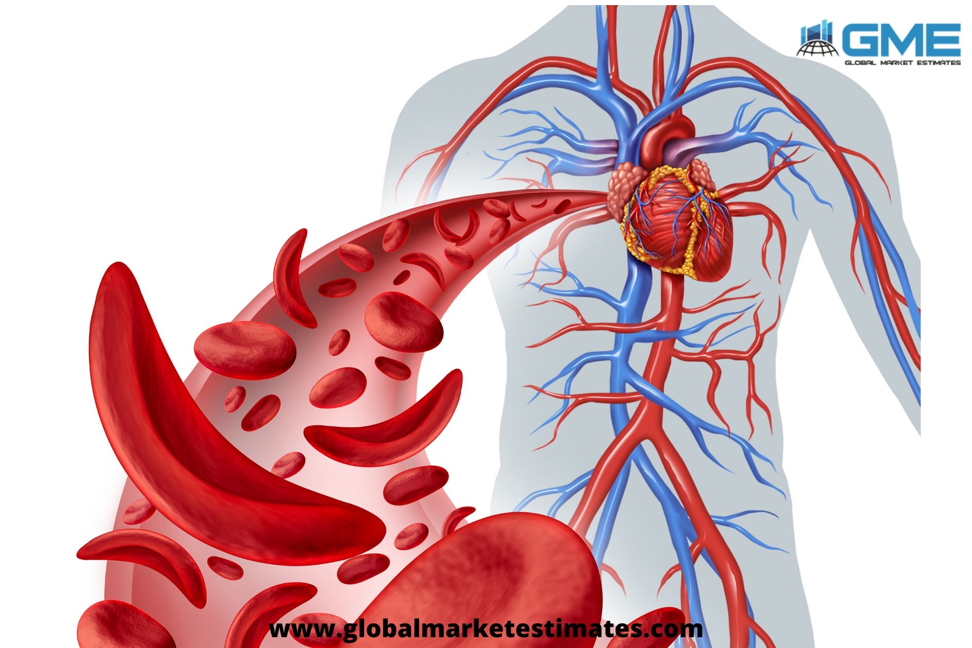 Where is the Global Circulating Tumour Cell Market headed for?